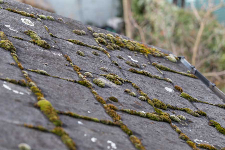 Example of worn down shingles on a roof.